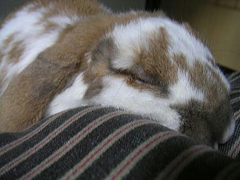 091126_4.jpg