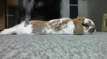 091211_1.jpg