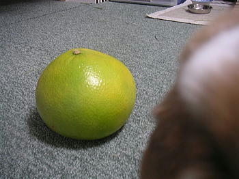 100103_1.jpg