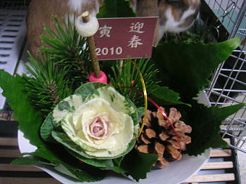 100103_6.jpg