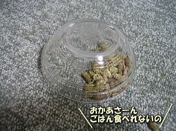 100205_2.jpg