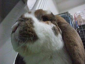 091125_3.jpg