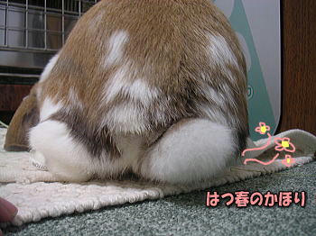 100205_3.jpg