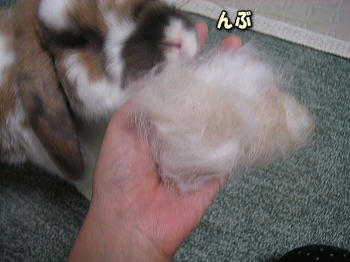 100302_1.jpg