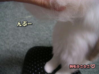 100302_3.jpg