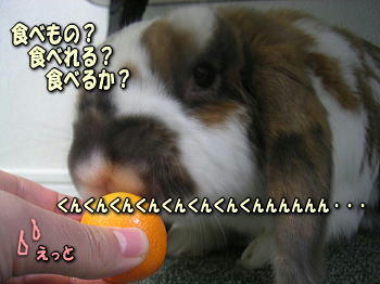 100303_2.jpg