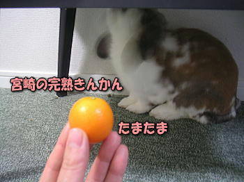 100303_1.jpg