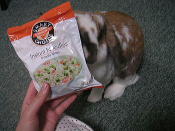 100313_3.jpg
