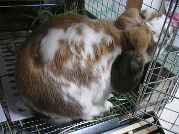 100314_2.jpg