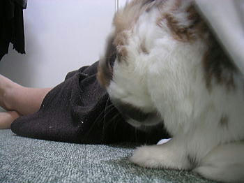 100315_3.jpg