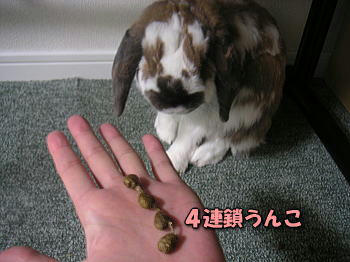 100325_3.jpg
