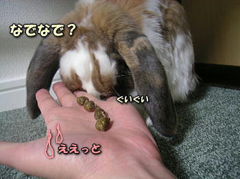 100325_5.jpg