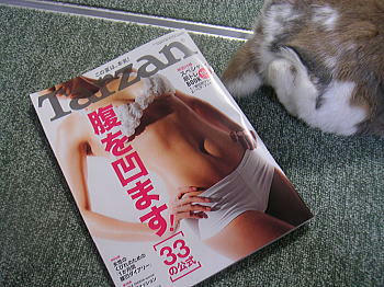 100409_3.jpg