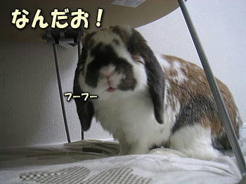 100413_6.jpg
