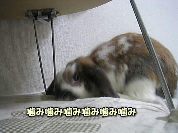 100413_5.jpg