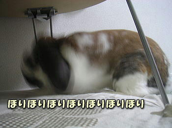 100413_4.jpg