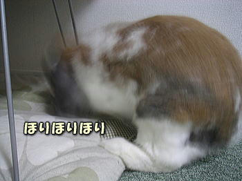 100413_2.jpg