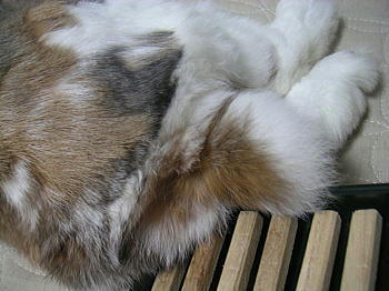 100416_8.jpg