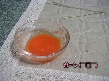 100417_5.jpg