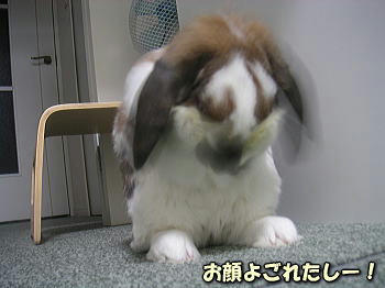 100417_6.jpg