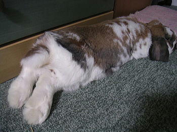 100429_1.jpg