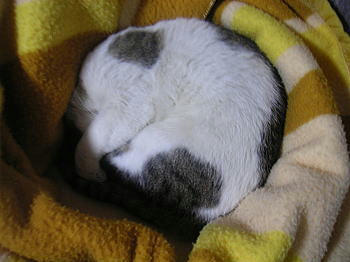 100502_4.jpg