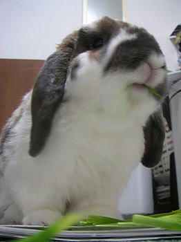 100512_5.jpg