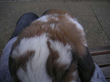 100515_4.jpg