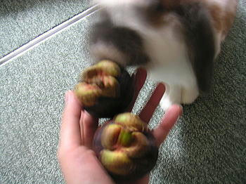100516_2.jpg