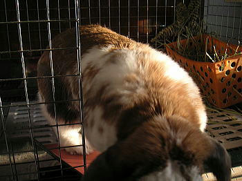 100601_2.jpg