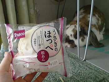100613_1.jpg