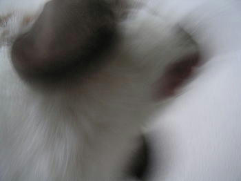 100619_4.jpg