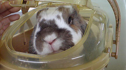 100627_1.jpg