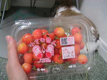 100702_3.jpg