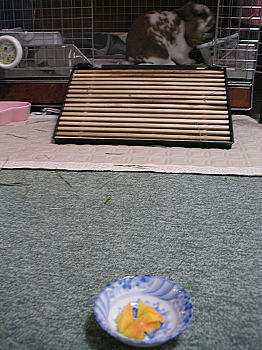 100813_2.jpg