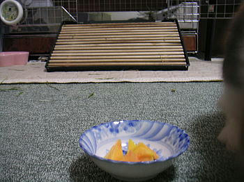 100813_3.jpg