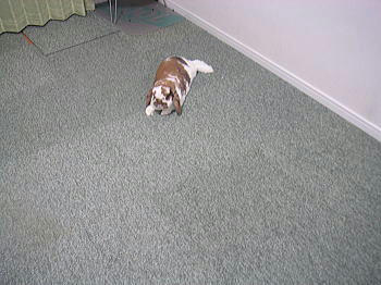 100911_1.jpg