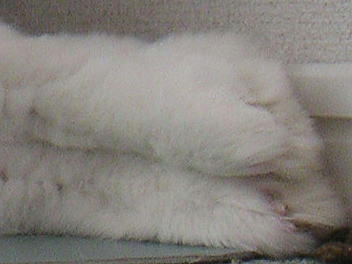 100919_3.jpg