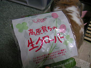 101110_1.jpg