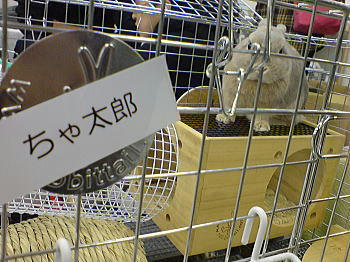 101129_7.jpg