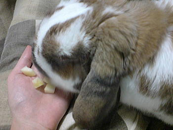 101208_5.jpg