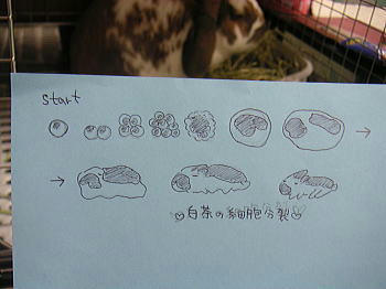 101124_1.jpg