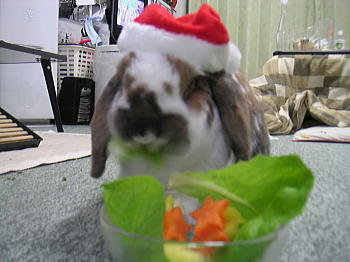 101224_2.jpg