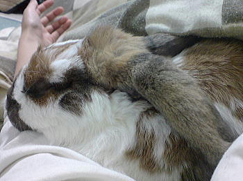 101208_7.jpg