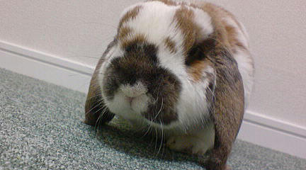 110120_1.jpg