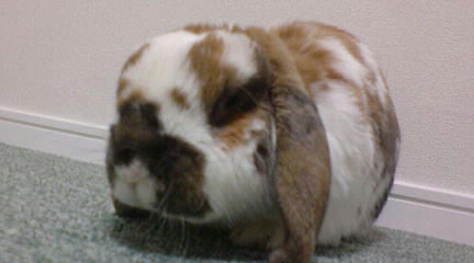 110120_3.jpg