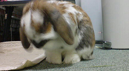 110122_1.jpg
