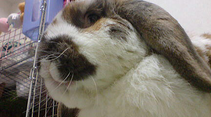 110122_2.jpg