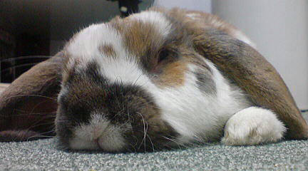 110122_5.jpg