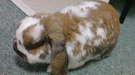 110122_7.jpg